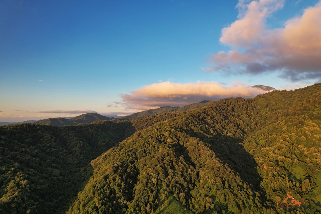 Lush green mountains and valleys in the Adjara highlands near Batumi