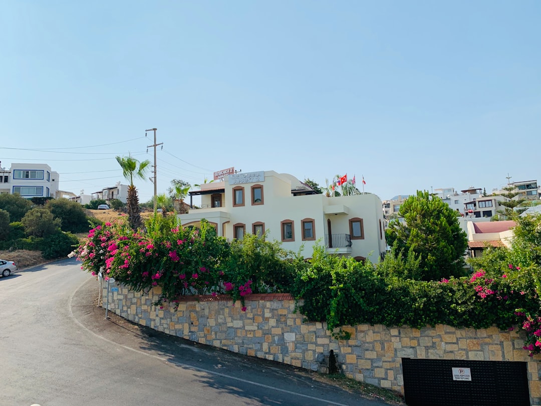 White-washed houses with bougainvillea on a narrow Bodrum street