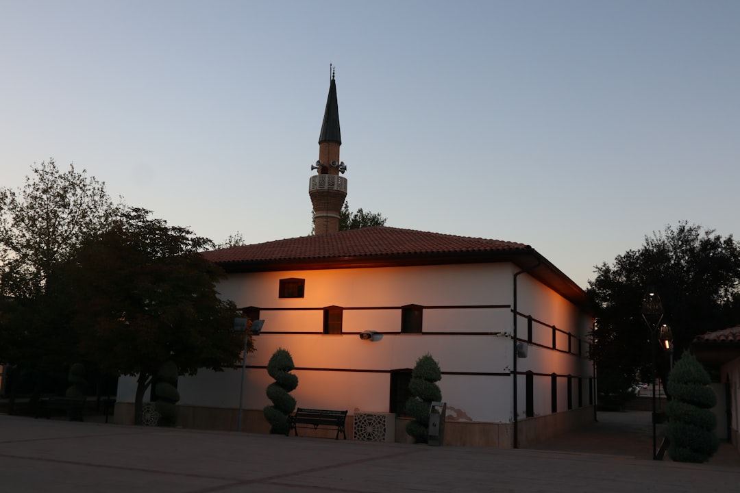 Trabzon Ayasofya